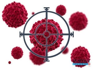 Израильские ученые приближаются к подлинному прорыву в лечении меланомы