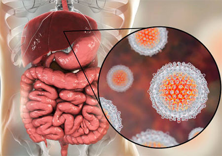 Вирус гепатита под микросокпом