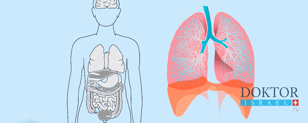 Бронхоскопия в Израиле - Doktorisrael.ru